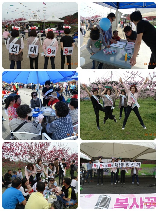 장덕리 복사꽃 축제 이용 공명선거캠페인 실시