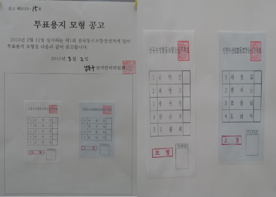 모형