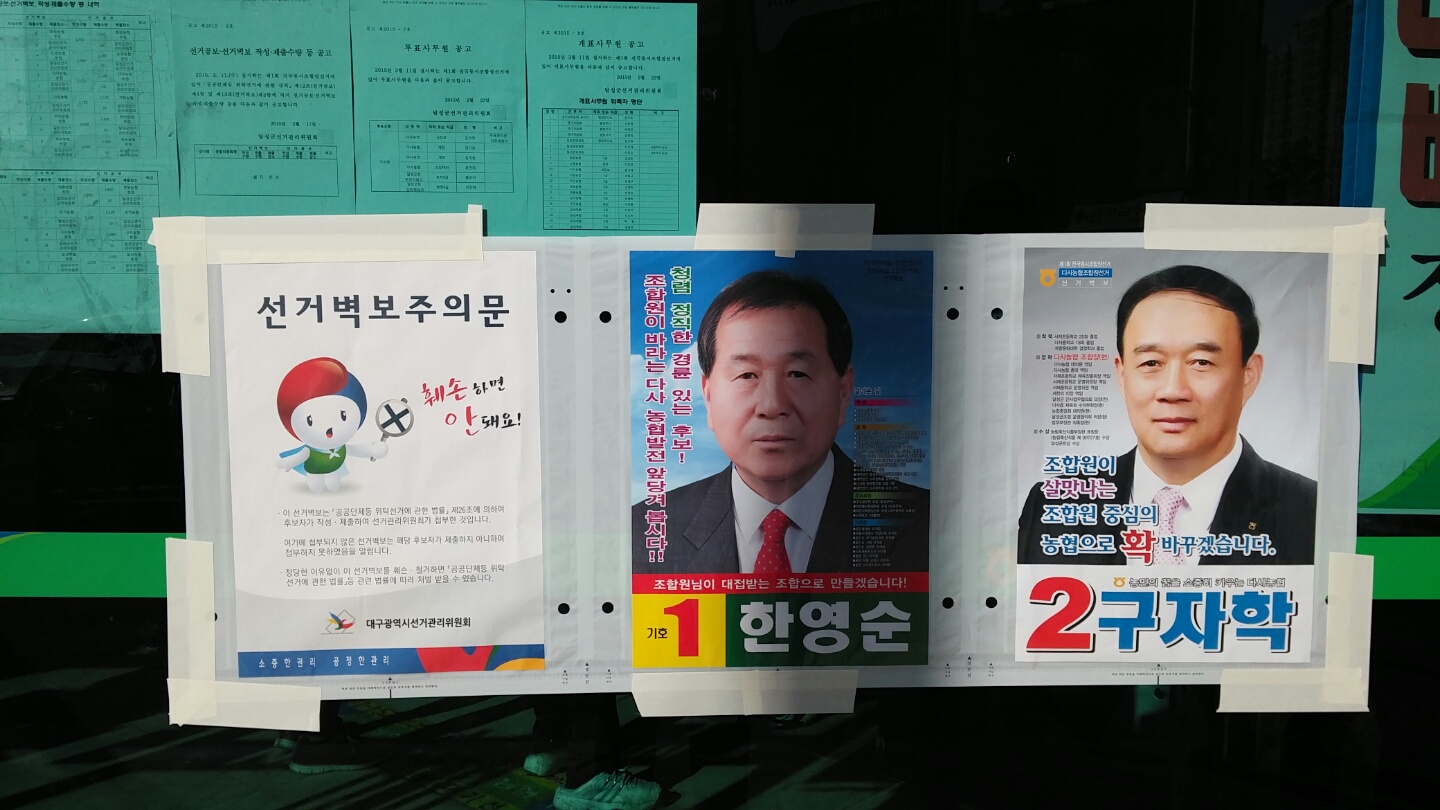 다사농협장선거 선거벽보 첩부장면