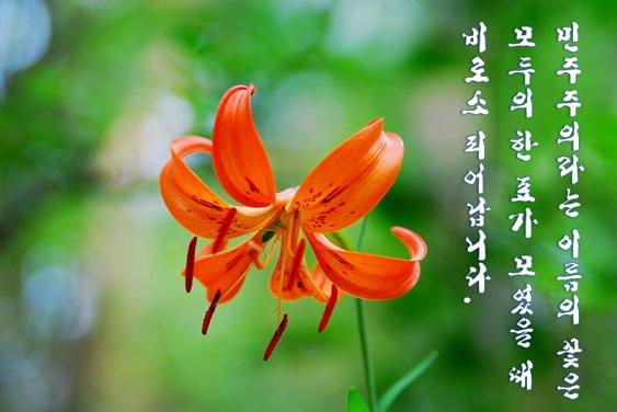 꽃봉오리