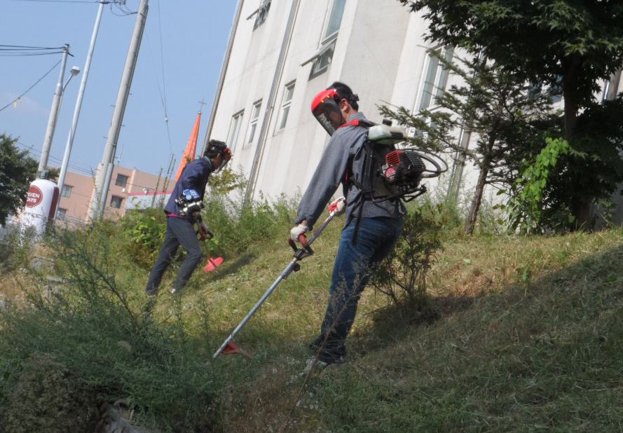 위원회 청사 뒤 화단의 잡초를 예초기로 작업하는 직원들의 모습