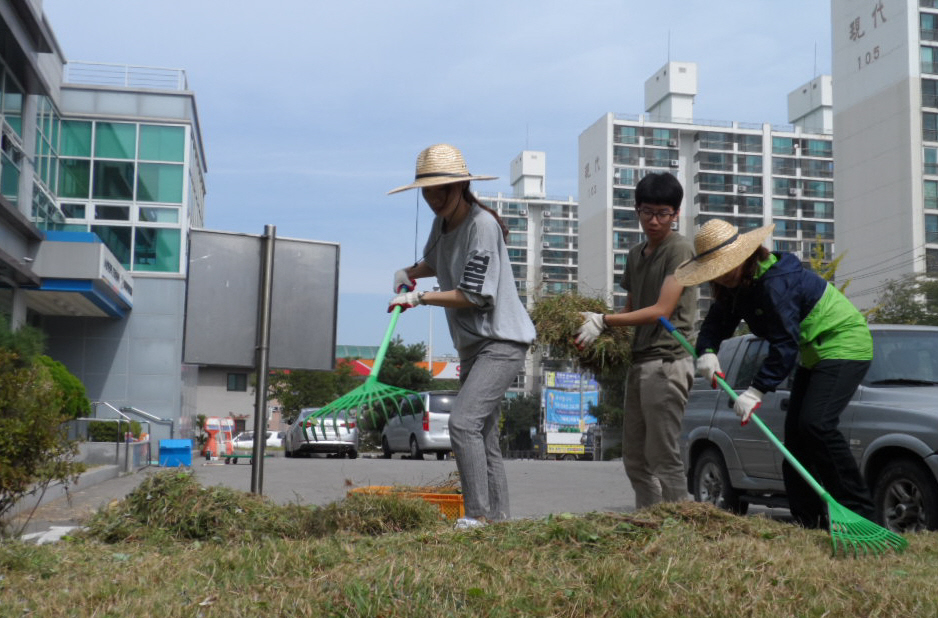 위원회 청사 앞 화단에서 예초기로 잘라놓은 잡초들을 갈퀴로 모으는 모습