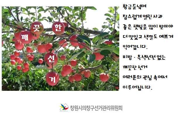 깨끗한 사과