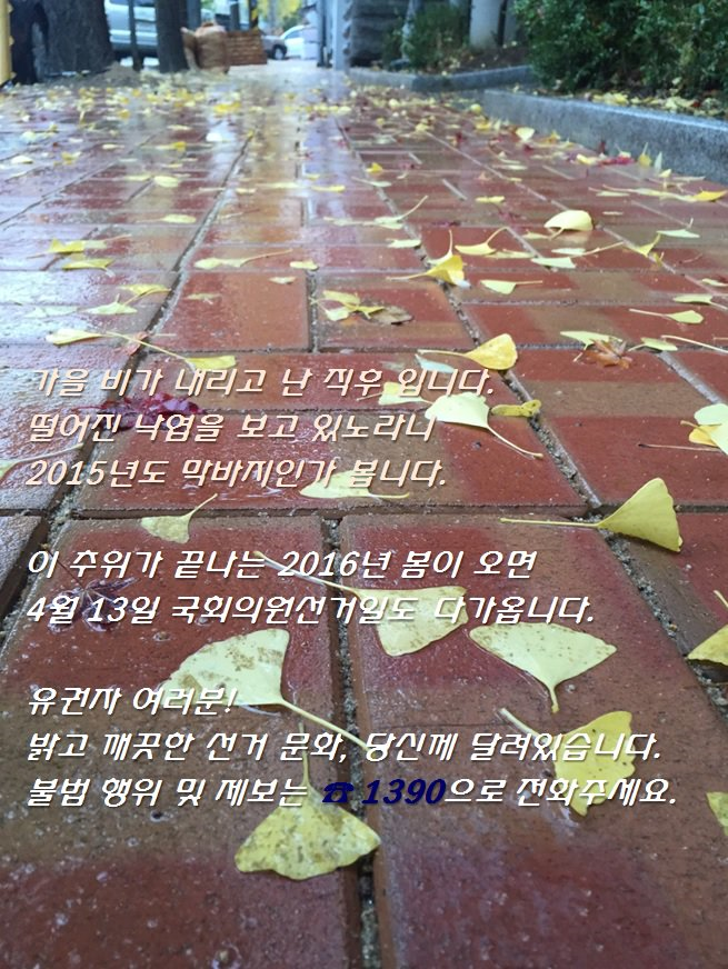 낙엽