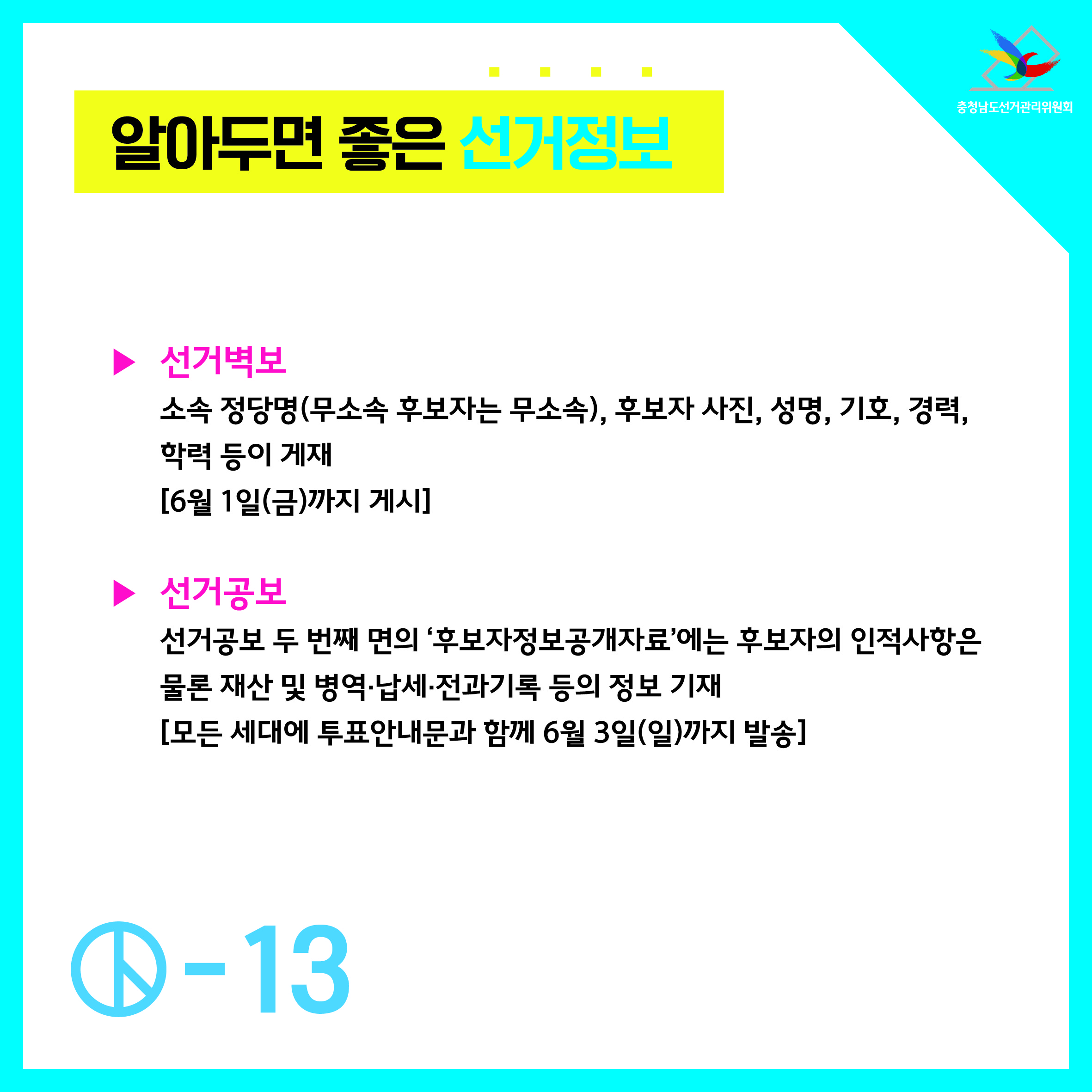 선거벽보, 선거공보