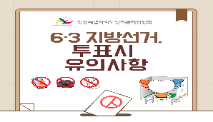 제9회 전국동시지방선거, 투표시 유의사항